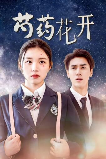 芍药花开：火光中的芍药花